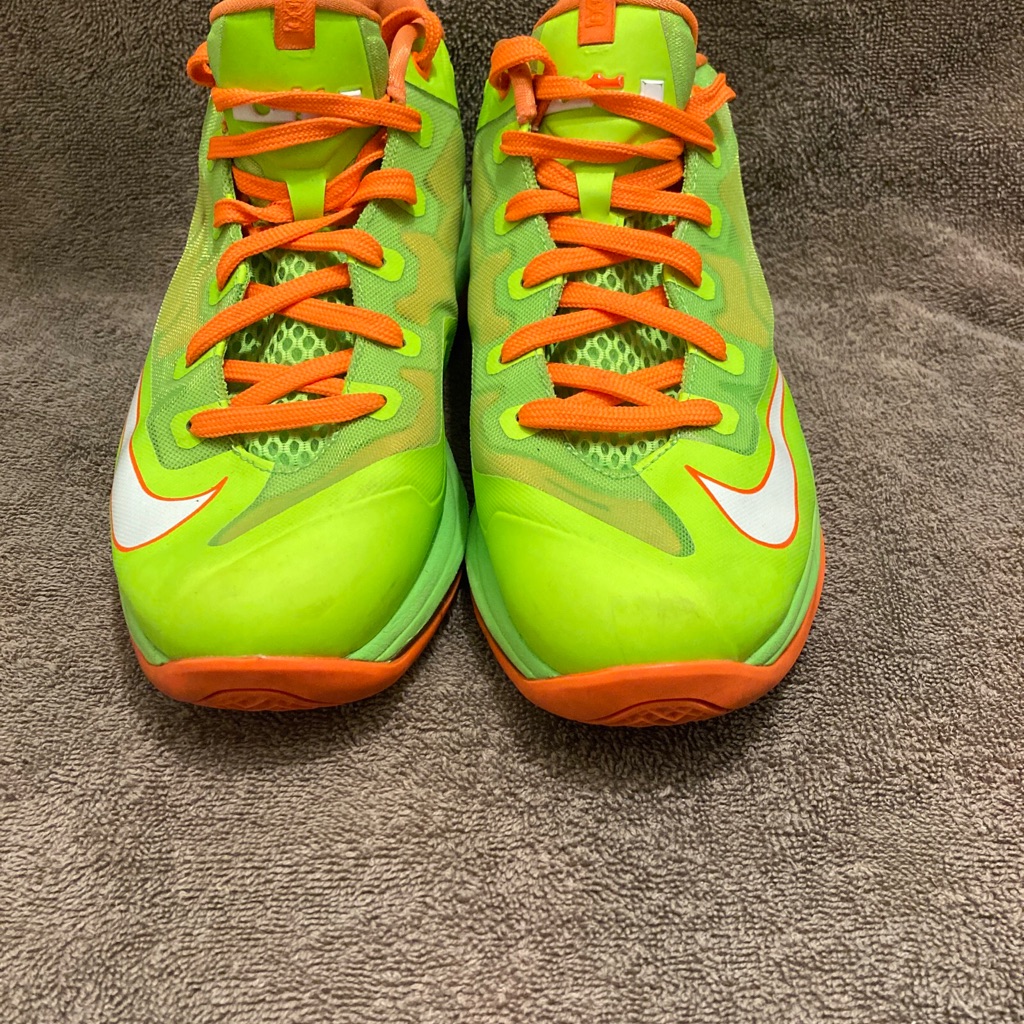 Nike Air Max Lebron Sneakers Womens